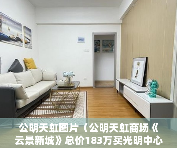 公明天虹图片（公明天虹商场《云景新城》总价183万买光明中心买房 ）开发商办理小产权需要多久，