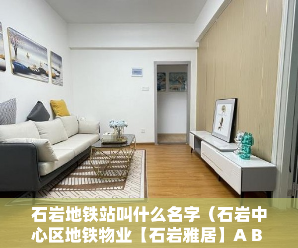 石岩地铁站叫什么名字（石岩中心区地铁物业【石岩雅居】A B 二栋总共130套 ）小产权房子能分期多久，