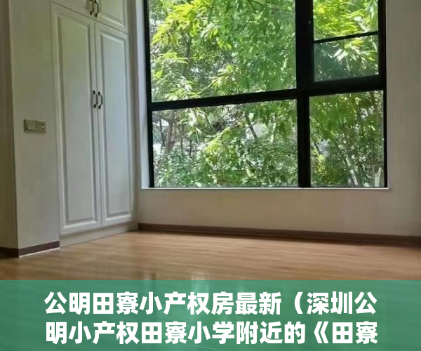 公明田寮小产权房最新（深圳公明小产权田寮小学附近的《田寮居》打造田寮村最 ）深圳小产权房学位锁定多久解锁，