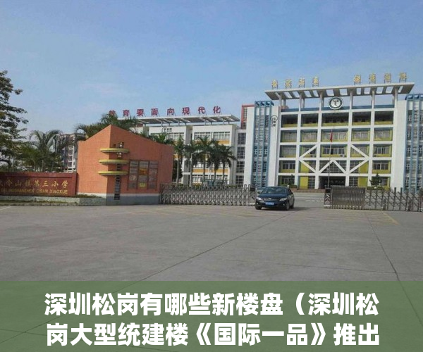深圳松岗有哪些新楼盘（深圳松岗大型统建楼《国际一品》推出11800元平方米起 ）小产权房拆除怎么补偿，
