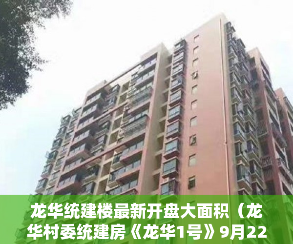 龙华统建楼最新开盘大面积（龙华村委统建房《龙华1号》9月22号火爆开盘 ）小产权店面协议书怎么签，