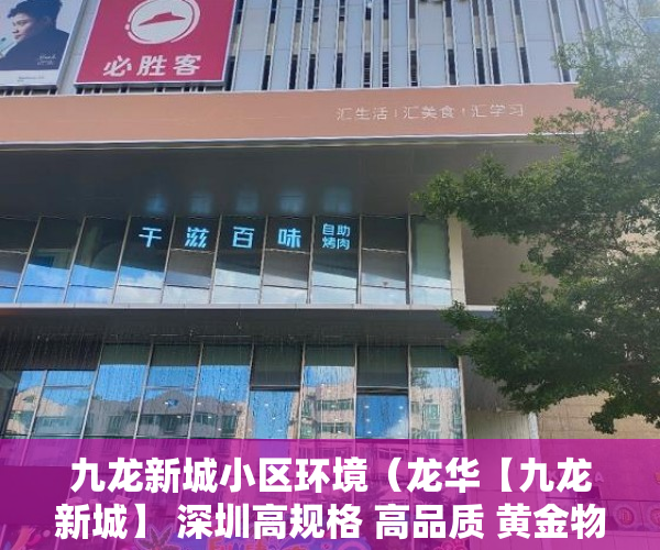 九龙新城小区环境（龙华【九龙新城】 深圳高规格 高品质 黄金物业 邀您品鉴 ）海口小产权房怎么上学，