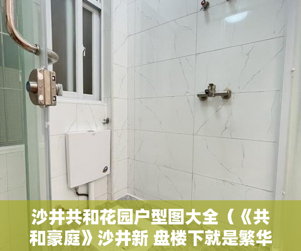 沙井共和花园户型图大全（《共和豪庭》沙井新 盘楼下就是繁华的商业街 ）小产权贷款需要多久，