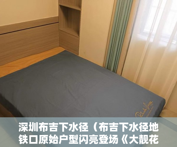 深圳布吉下水径（布吉下水径地铁口原始户型闪亮登场《大靓花园》 ）小产权绿本多久产权，