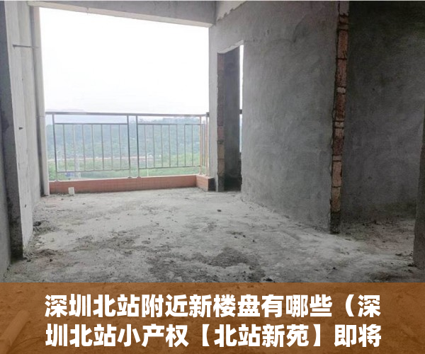 深圳北站附近新楼盘有哪些（深圳北站小产权【北站新苑】即将开盘均价13800平 ）小产权能住多久，