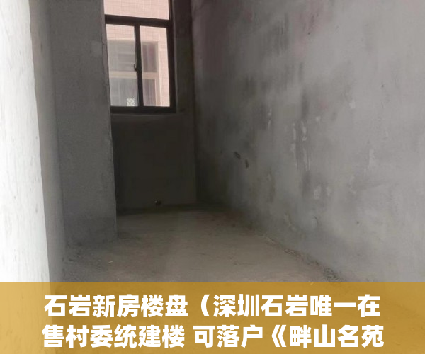 石岩新房楼盘（深圳石岩唯一在售村委统建楼 可落户《畔山名苑》加推30 ）小产权房怎么办水电卡，