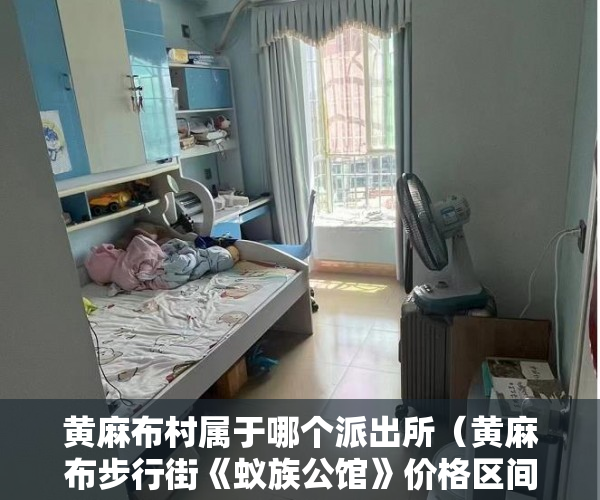 黄麻布村属于哪个派出所（黄麻布步行街《蚁族公馆》价格区间：7800-8300元 ）买小产权房后多久可以交房，