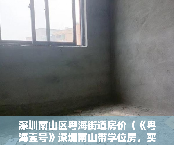 深圳南山区粤海街道房价（《粤海壹号》深圳南山带学位房，买房百分百上学 ）小产权的使用年限是多久，