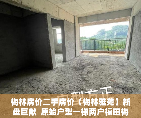 梅林房价二手房价（梅林雅苑】新盘巨献  原始户型一梯两户福田梅林关新盘 ）小产权房无能力偿还债务怎么办，