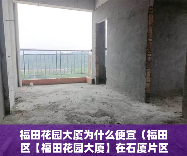 福田花园大厦为什么便宜（福田区【福田花园大厦】在石厦片区 开盘了 ）小产权房一般多久可以更名，