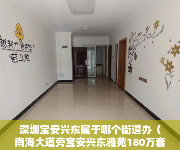 深圳宝安兴东属于哪个街道办（南海大道旁宝安兴东雅苑180万套起入住深圳精英智慧住 ）大产权转小产权了多久可以出售，