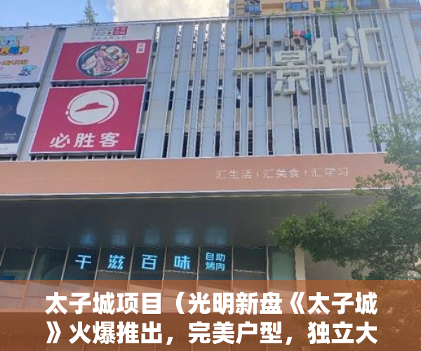 太子城项目（光明新盘《太子城》火爆推出，完美户型，独立大阳台！ ）东莞小产权房屋怎么办，