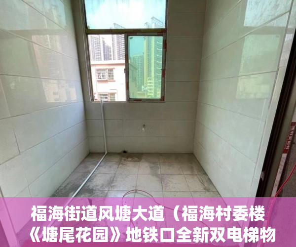 福海街道风塘大道（福海村委楼《塘尾花园》地铁口全新双电梯物业小区 ）小产权住宅信息统计表怎么填，