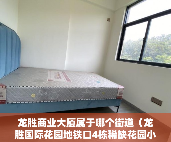 龙胜商业大厦属于哪个街道（龙胜国际花园地铁口4栋稀缺花园小区，项目全部原始户型 ）小产权房多久拆迁，