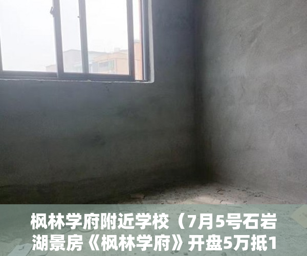 枫林学府附近学校（7月5号石岩湖景房《枫林学府》开盘5万抵10万前十套任君 ）2年前买的小产权房有纠纷怎么办，