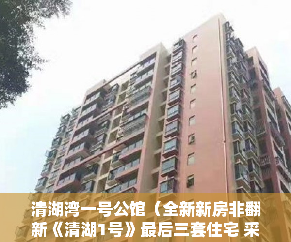 清湖湾一号公馆（全新新房非翻新《清湖1号》最后三套住宅 采光通风一流 ）买小产权房多久可以贷款，