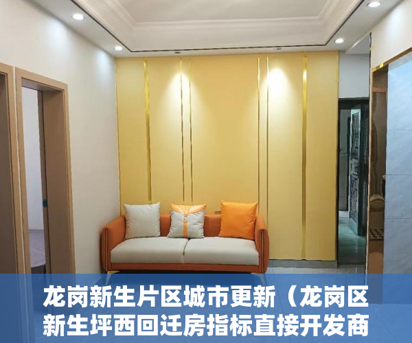 龙岗新生片区城市更新（龙岗区新生坪西回迁房指标直接开发商签合同 ）深圳小产权房学位锁定多久，