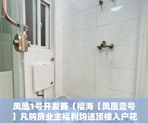 凤凰1号开发商（福海【凤凰壹号】凡购房业主福利均送顶楼入户花园 ）小产权多久可以出手，