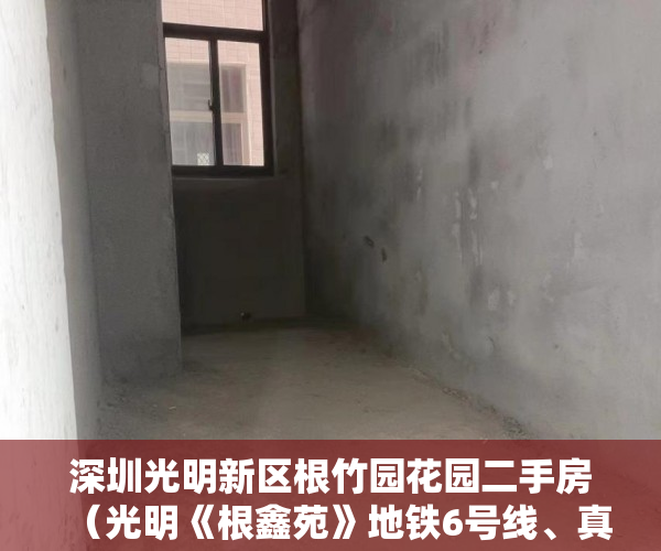 深圳光明新区根竹园花园二手房（光明《根鑫苑》地铁6号线、真实地铁口！薯田埔站800米 ）小产权房拆除后多久可以拆除，