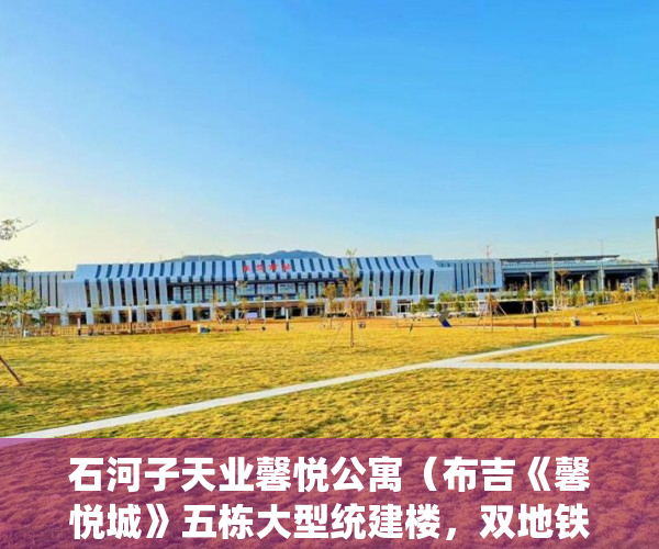 石河子天业馨悦公寓（布吉《馨悦城》五栋大型统建楼，双地铁口即买即收益 ）小产权房怎么过户手续，