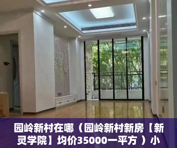 园岭新村在哪（园岭新村新房【新灵学院】均价35000一平方 ）小产权房能使用多久，