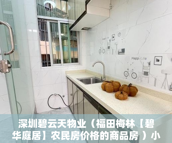 深圳碧云天物业（福田梅林【碧华庭居】农民房价格的商品房 ）小产权房户型怎么样，