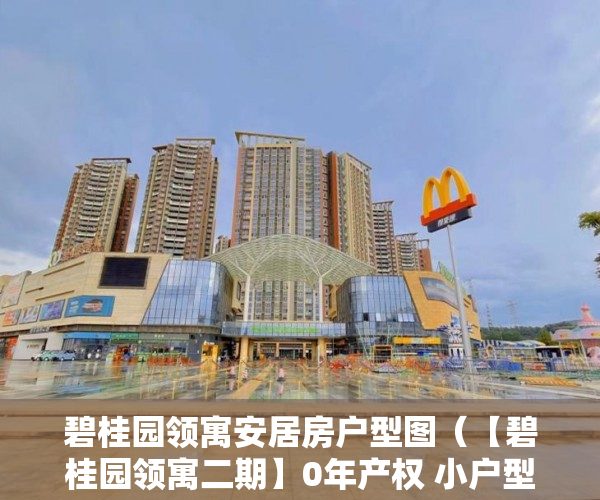 碧桂园领寓安居房户型图（【碧桂园领寓二期】0年产权 小户型公寓  领寓大空港 会 ）小产权多久1463796Z空间，
