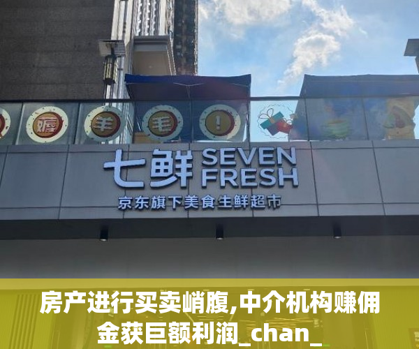 房产进行买卖峭腹,中介机构赚佣金获巨额利润_chan_