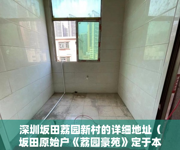 深圳坂田荔园新村的详细地址（坂田原始户《荔园豪苑》定于本月23号“周六”开盘 ）买了小产权房子怎么办，