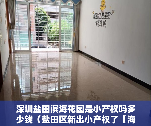 深圳盐田滨海花园是小产权吗多少钱（盐田区新出小产权了【海洋花园】五一低价推出 ）小产权住多久，