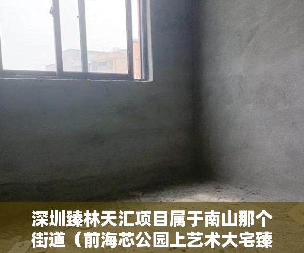 深圳臻林天汇项目属于南山那个街道（前海芯公园上艺术大宅臻林天汇 立踞中山公园之上 ）小产权房过户怎么公证，