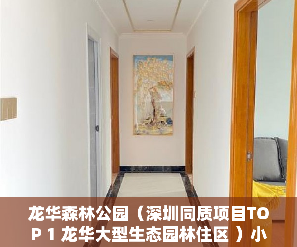 龙华森林公园（深圳同质项目TOP 1 龙华大型生态园林住区 ）小产权房子多久能卖出去，