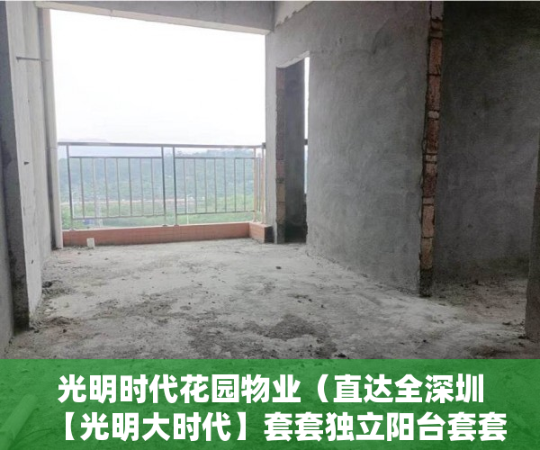光明时代花园物业（直达全深圳【光明大时代】套套独立阳台套套超大客厅 ）做小产权房多久能买卖，
