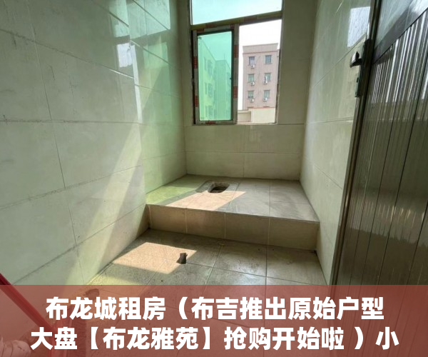 布龙城租房（布吉推出原始户型大盘【布龙雅苑】抢购开始啦 ）小产权房的签名可以保存多久，