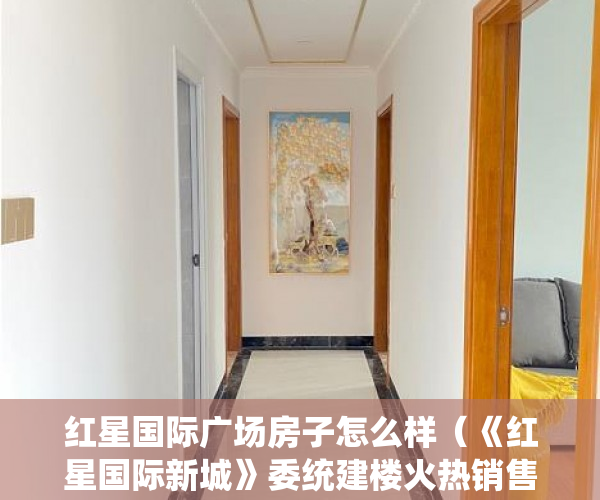 红星国际广场房子怎么样（《红星国际新城》委统建楼火热销售中项目外观高端大气 ）开发商大产权办了小产权多久办下来，