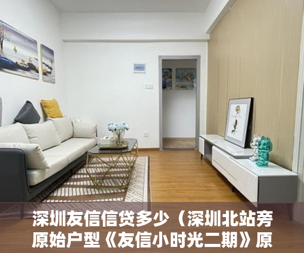 深圳友信信贷多少（深圳北站旁原始户型《友信小时光二期》原始的新盘发售 ）小产权怎么买卖，