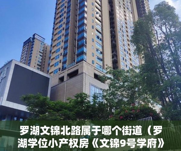 罗湖文锦北路属于哪个街道（罗湖学位小产权房《文锦9号学府》隆重开盘11月耀世呈献 ）小产权房子怎么过户，