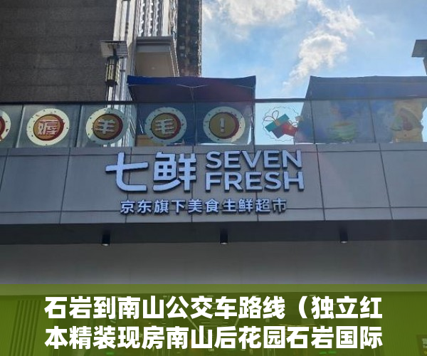 石岩到南山公交车路线（独立红本精装现房南山后花园石岩国际壹号4站到南山 ）小产权房过多久就不能拆了，