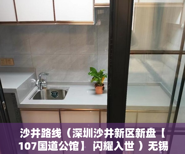 沙井路线（深圳沙井新区新盘【107国道公馆】 闪耀入世 ）无锡小产权房子多久可以过户，