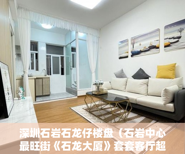 深圳石岩石龙仔楼盘（石岩中心最旺街《石龙大厦》套套客厅超大套套户型超靓 ）小产权房顶渗水怎么退，