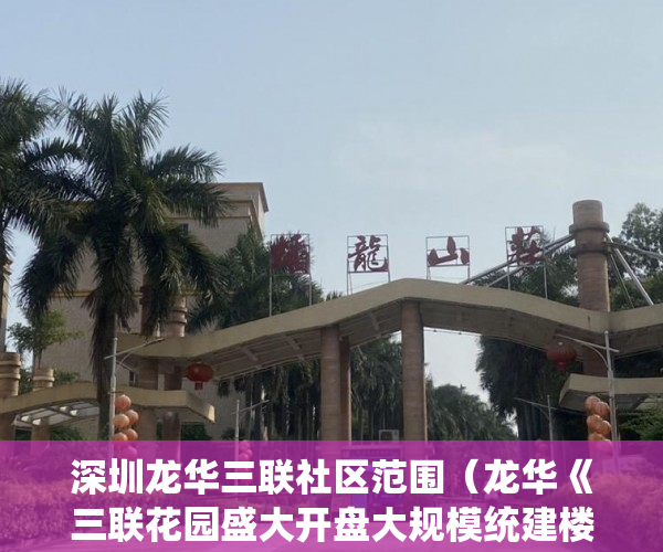 深圳龙华三联社区范围（龙华《三联花园盛大开盘大规模统建楼封闭式小区350户 ）小产权多久可以更名，