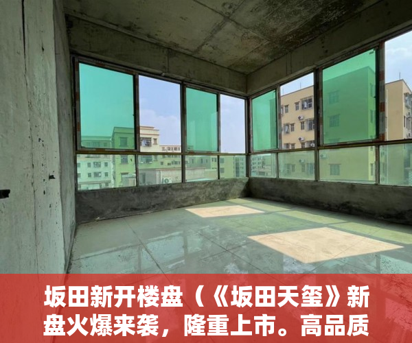 坂田新开楼盘（《坂田天玺》新盘火爆来袭，隆重上市。高品质！ ）小产权房怎么改造，