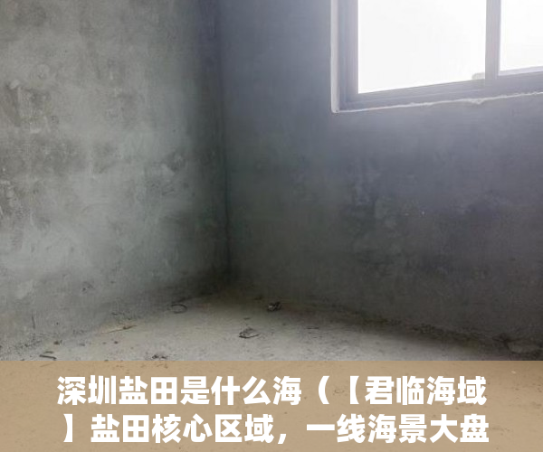 深圳盐田是什么海（【君临海域】盐田核心区域，一线海景大盘 ）没拆的小产权多久成危楼，
