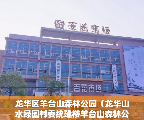 龙华区羊台山森林公园（龙华山水绿园村委统建楼羊台山森林公园附近 ）小产权买房时怎么成交，