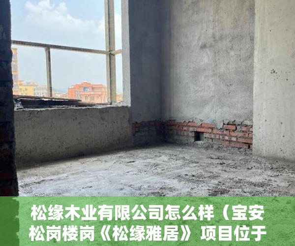 松缘木业有限公司怎么样（宝安松岗楼岗《松缘雅居》 项目位于楼岗中英文学校旁 ）现在出售小产权房怎么样，