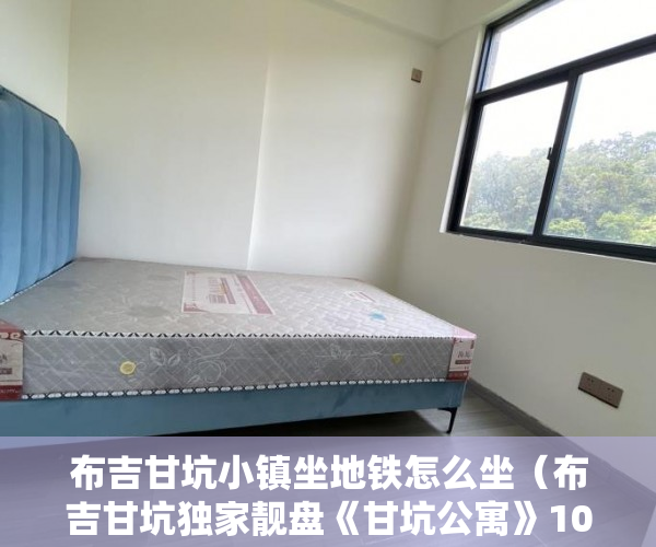 布吉甘坑小镇坐地铁怎么坐（布吉甘坑独家靓盘《甘坑公寓》10号线甘坑地铁站真正的30 ）怎么规避小产权房子的执行，