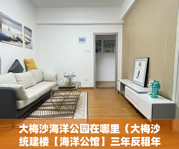 大梅沙海洋公园在哪里（大梅沙统建楼【海洋公馆】三年反租年回报率8% ）新农村小产权房能住多久，