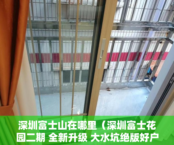 深圳富士山在哪里（深圳富士花园二期 全新升级 大水坑绝版好户型， ）宅基地上建小产权房怎么办，