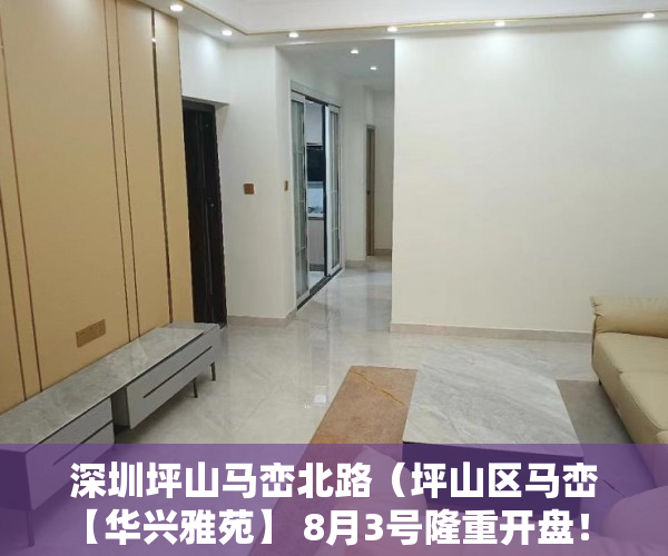 深圳坪山马峦北路（坪山区马峦【华兴雅苑】 8月3号隆重开盘！ ）小产权房怎么处理，