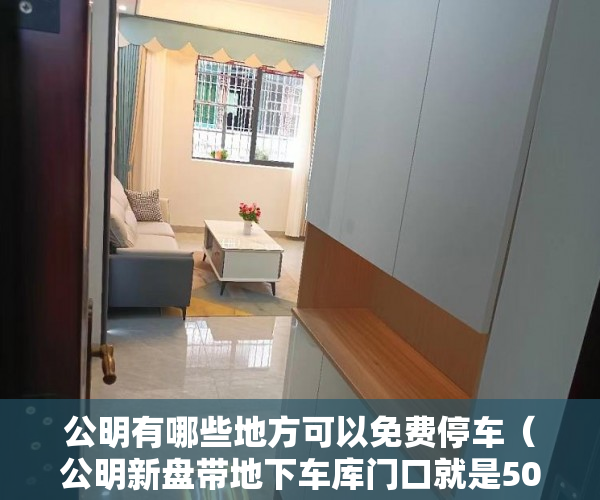 公明有哪些地方可以免费停车（公明新盘带地下车库门口就是500个车位超大停车场！ ）买小产权怎么样，